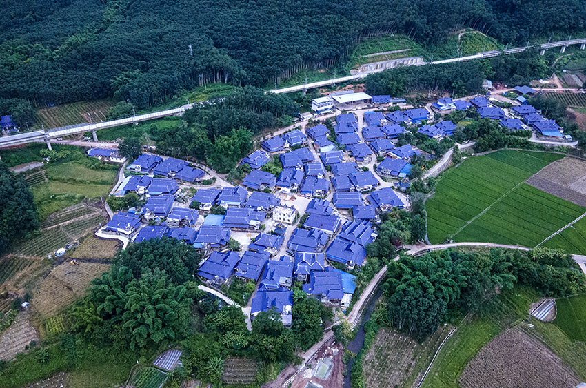 磨憨鎮(zhèn)曼莊村大龍哈小組現(xiàn)代化邊境幸福村新貌。人民網(wǎng)記者 符皓攝