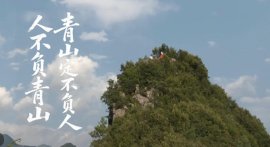 崖柏重生 生生不息